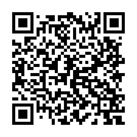 QR code for P19563