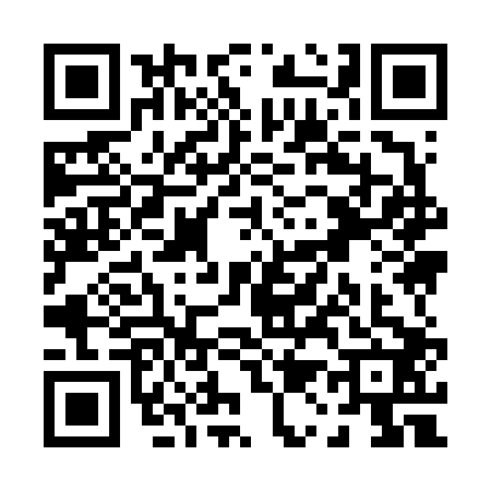 QR code for P196020