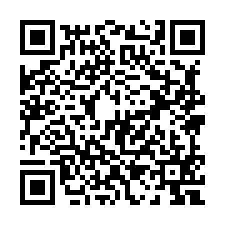 QR code for P198950