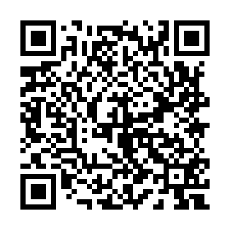 QR code for P19951