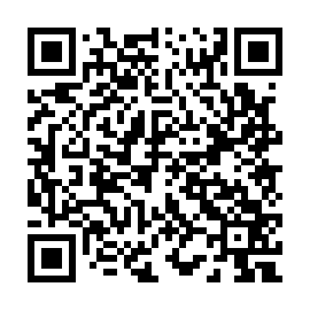 QR code for P20163