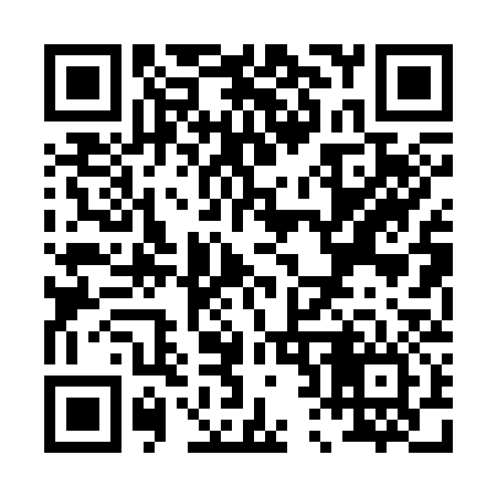 QR code for P20336