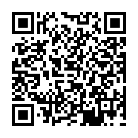 QR code for P203941
