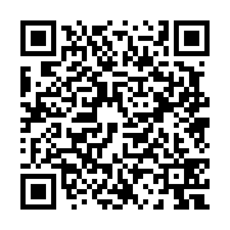 QR code for P204394