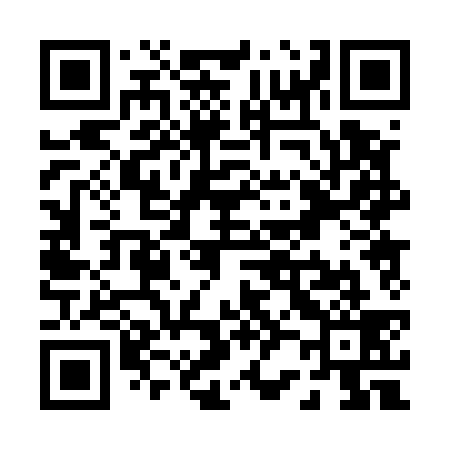 QR code for P20539