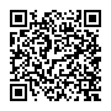 QR code for P205433