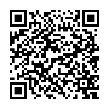 QR code for P206378