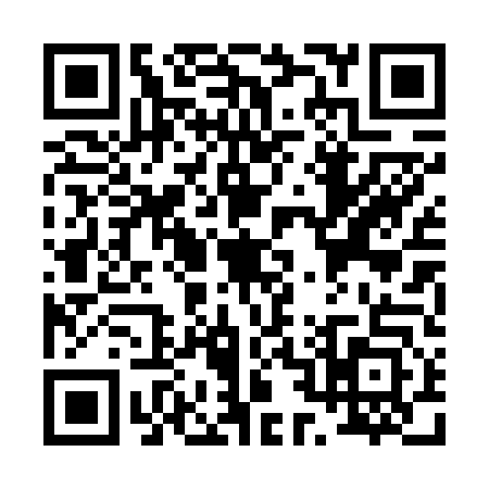 QR code for P206433