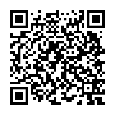 QR code for P20668