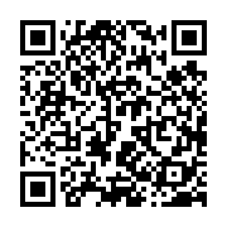 QR code for P20678