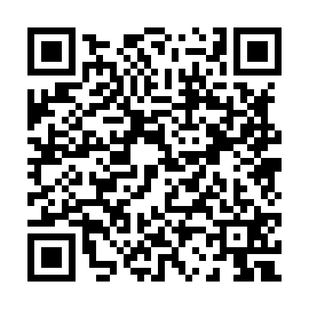 QR code for P208219