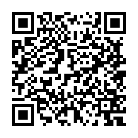 QR code for P208636