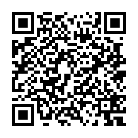 QR code for P210294