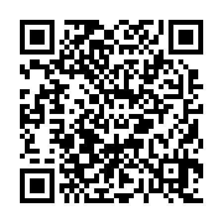 QR code for P21234