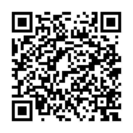 QR code for P213098