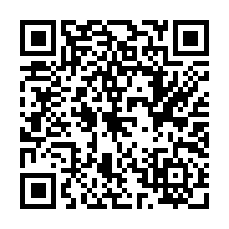 QR code for P213942