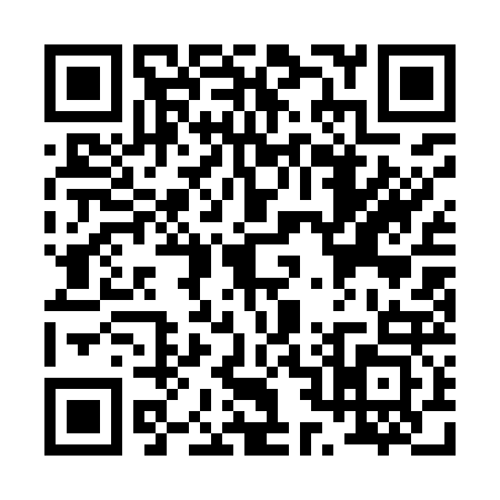 QR code for P219234