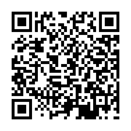 QR code for P219304