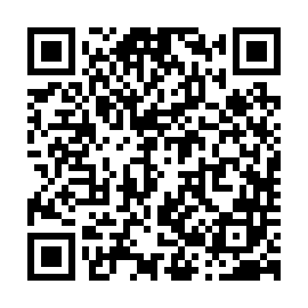 QR code for P22242