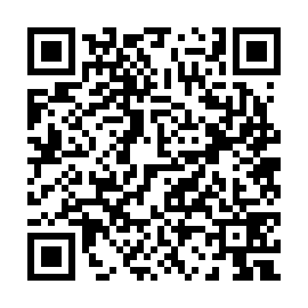 QR code for P222795