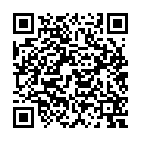 QR code for P223262