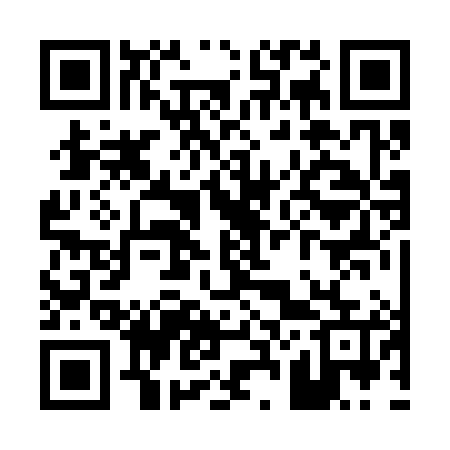 QR code for P22385