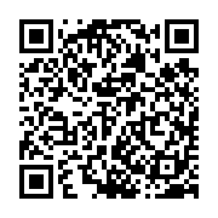 QR code for P22611