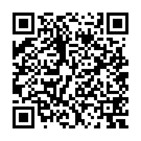 QR code for P227581