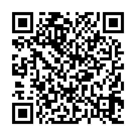 QR code for P22919