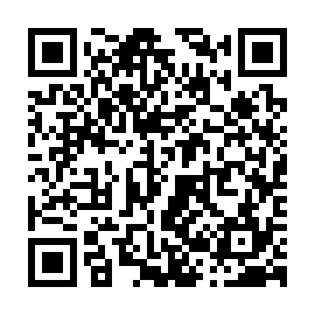 QR code for P23334