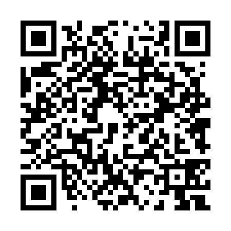 QR code for P247382