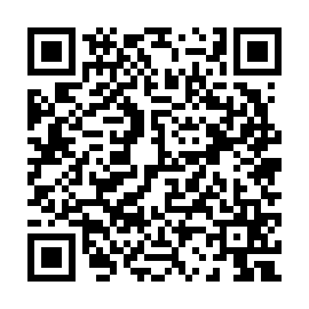 QR code for P256656