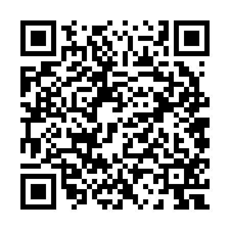 QR code for P262163