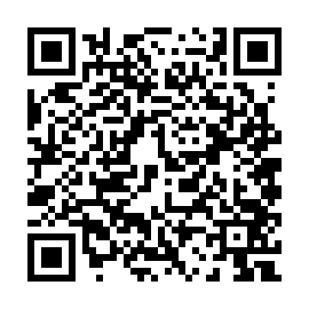 QR code for P263436