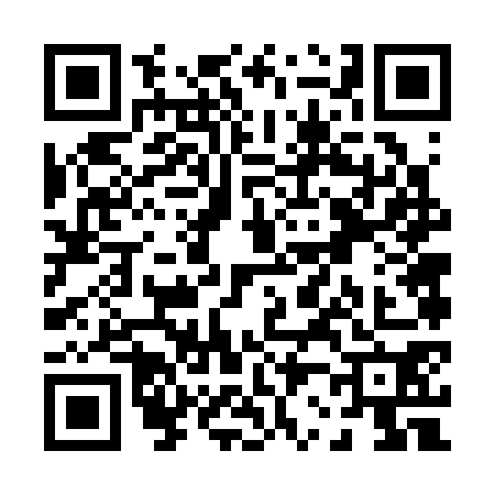 QR code for P263706