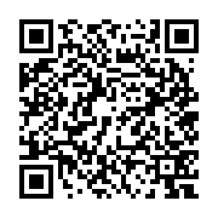 QR code for P272737