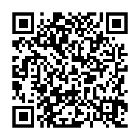 QR code for P28585
