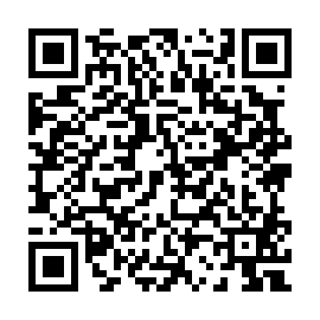QR code for P290813