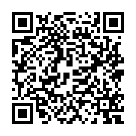 QR code for P291155
