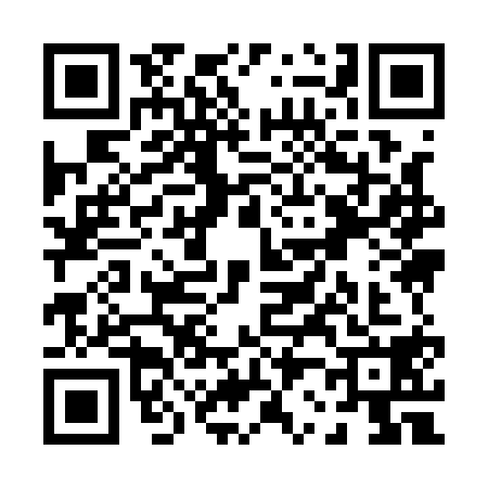 QR code for P291181