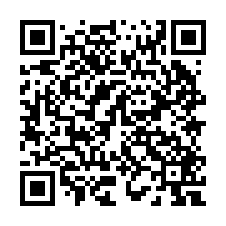 QR code for P29249