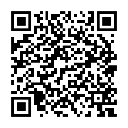 QR code for P292532