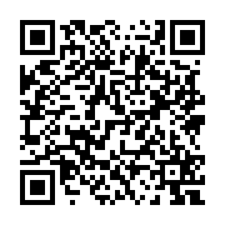 QR code for P295254