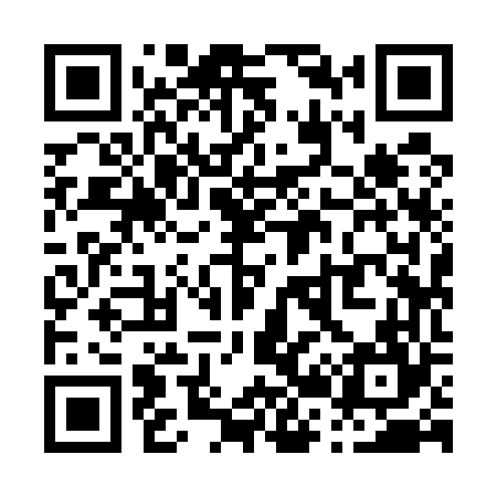 QR code for P29564