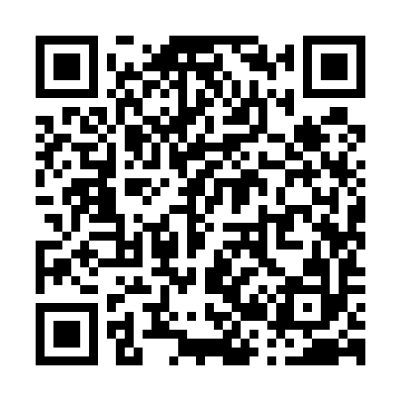 QR code for P29592