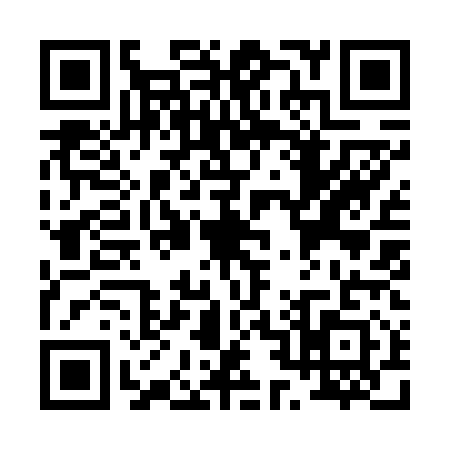 QR code for P296113