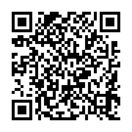 QR code for P29699