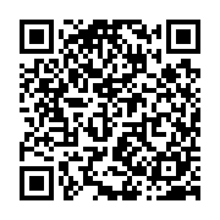 QR code for P29705