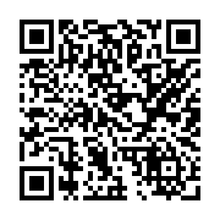 QR code for P29895