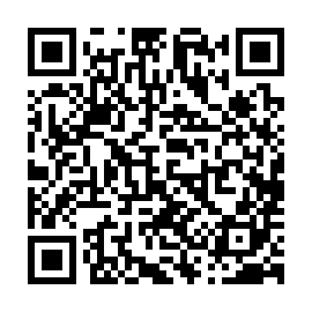 QR code for P30380